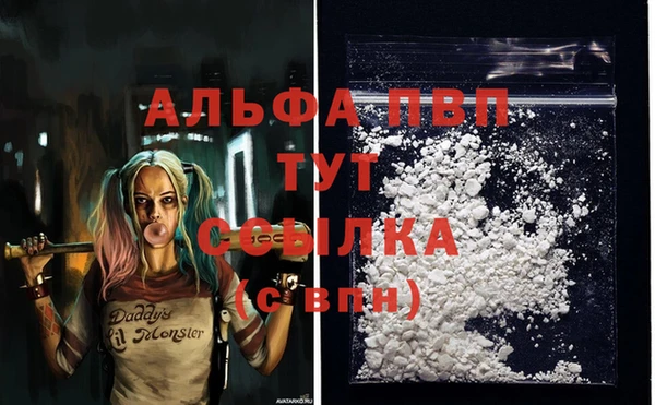 СК Абаза