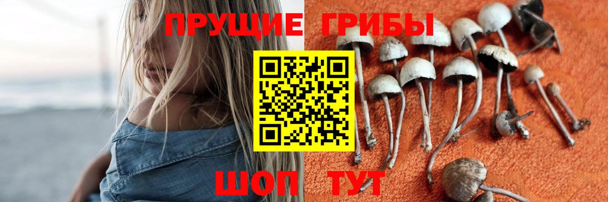Галлюциногенные грибы Psilocybine cubensis  Галлюциногенные грибы Psilocybe  Стерлитамак  Вход с VPN 